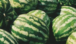 前阵吃瓜,揭秘前阵吃瓜大事件背后的真相