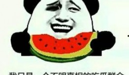 现实了吃瓜群众,吃瓜群众眼中的明星生活