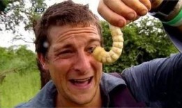 吃瓜群2949211,一场全民参与的娱乐盛宴