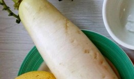 痰多可以吃瓜,吃瓜也能缓解？揭秘瓜类食物的神奇功效