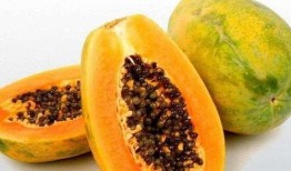 孕妇梦见吃捎瓜,揭秘梦中吃捎瓜的寓意与启示