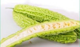 角瓜和什么一块吃减肥,轻松开启减肥之旅