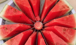 吃瓜备赛,揭秘赛事背后的趣味与策略