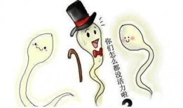 魔兽吃瓜鸡王,吃瓜鸡王传奇，揭秘游戏中的神秘英雄