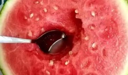 吃哈密瓜勺子,品味甜蜜的夏日风情