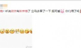 吃瓜微信文件,一场网络热议背后的真相