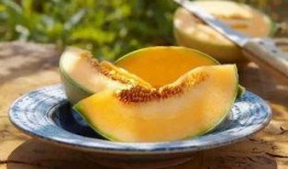 太阳瓜甜不甜怎么吃,甜蜜滋味的多重食用攻略