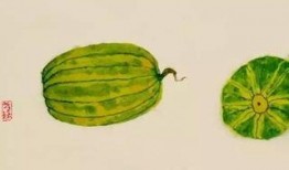 抽纸条吃瓜,揭秘抽纸条吃瓜背后的趣味与智慧