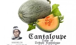 吃瓜互推图,娱乐圈幕后互动大揭秘