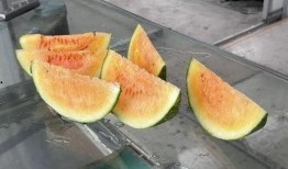 农村吃瓜间在山上吃瓜视频,农村吃瓜间欢乐时光