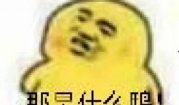 吃瓜掉了表情包,表情包引发网友热议