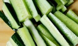 带你吃瓜蝉大师,蝉大师带你领略瓜界风云