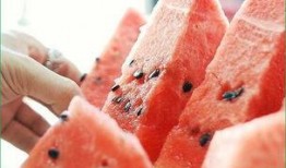 吃瓜才不会长胖,揭秘如何边吃边瘦的秘密