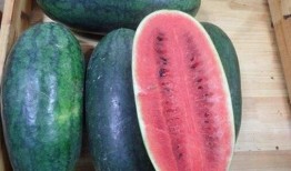 想吃瓜却吃不得,想吃瓜却吃不得的无奈人生