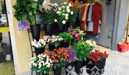 花田花店老板吃瓜入口,花田花店老板的意外“吃瓜”体验