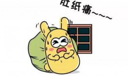 吃瓜群众姐弟,揭秘娱乐圈背后的温馨故事