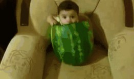 当12星座吃瓜,揭秘星座们的八卦世界