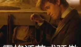 晚上吃麻瓜好吗,晚间享用麻瓜的利弊解析