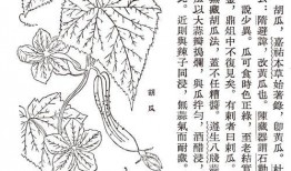 古代吃瓜的名人