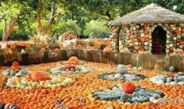 容悦花园吃瓜,揭秘吃瓜群众的欢乐盛宴