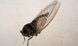 带你吃瓜蝉大师,蝉大师带你领略瓜界风云