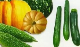 赌场吃瓜,揭秘吃瓜群众的围观之道