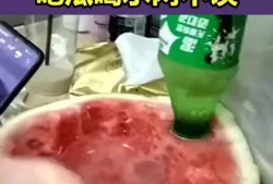 室友吃瓜拉肚子,揭秘夏日饮食健康隐患